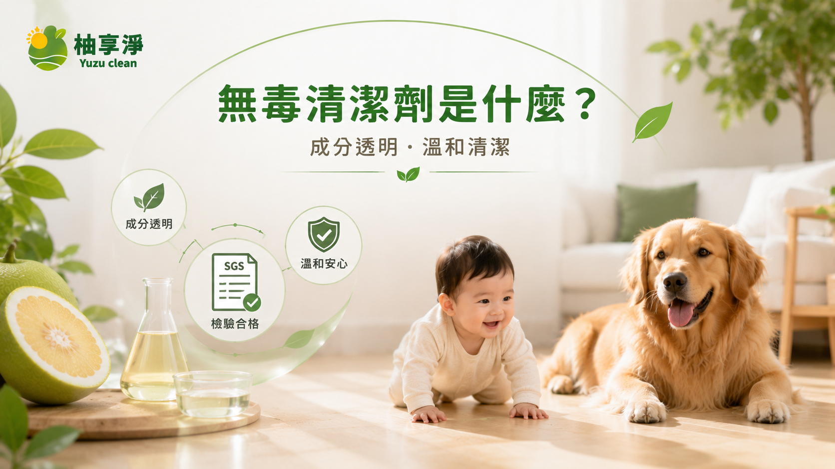 無毒清潔劑是什麼