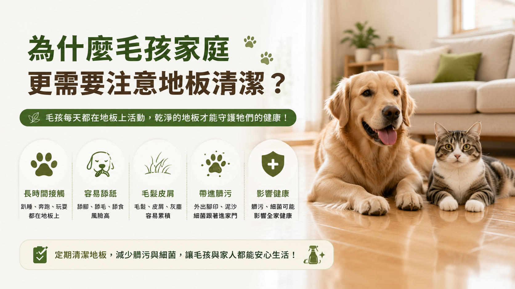 為什麼毛孩家庭需要寵物地板清潔劑