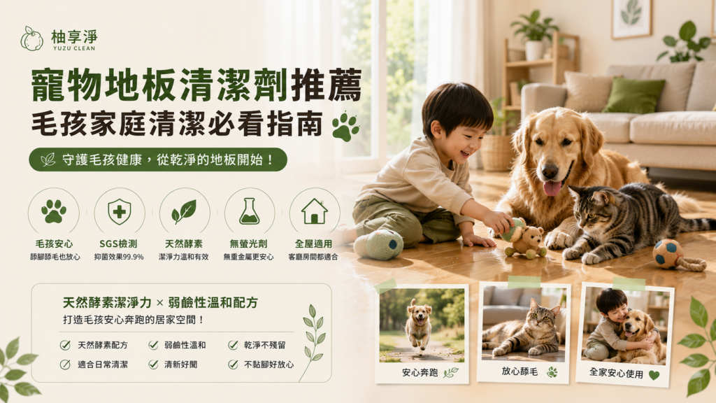 寵物地板清潔